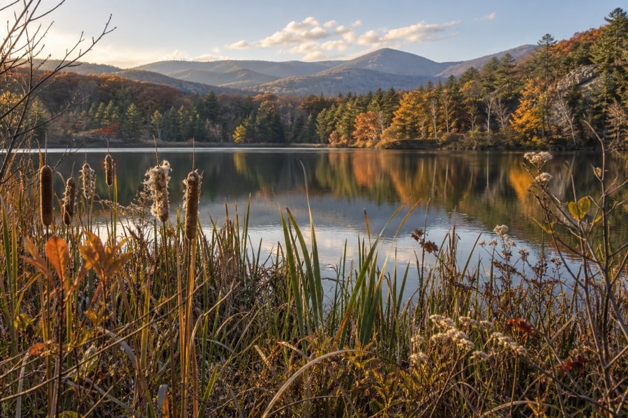 Autumn vegetation beside a reflective mountain lake