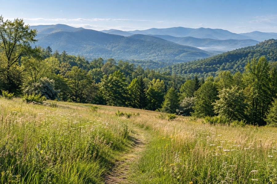 An upland meadow meeting hardwood forest below blue mountain ridges